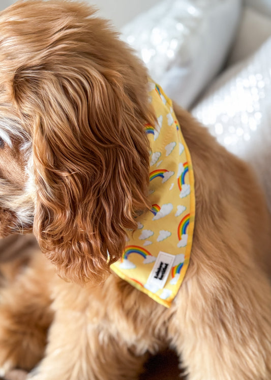 Pastel Yellow Rainbow Dog Bandana