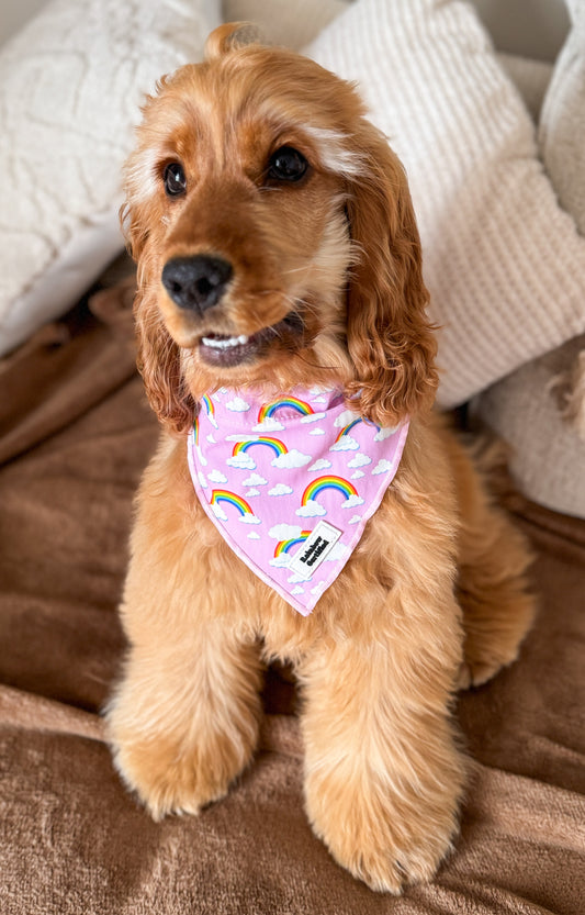 Pastel Purple Rainbow Dog Bandana