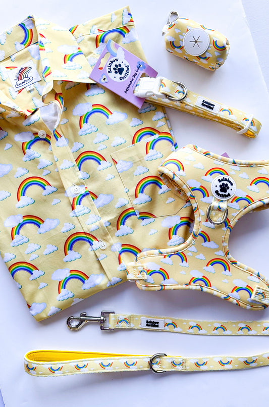 Pastel Yellow Rainbow Dog Leash
