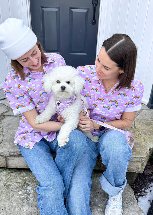 Pastel Purple Rainbow Dog Harness