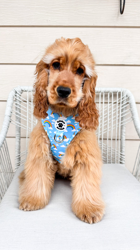 Pastel Blue Rainbow Dog Harness