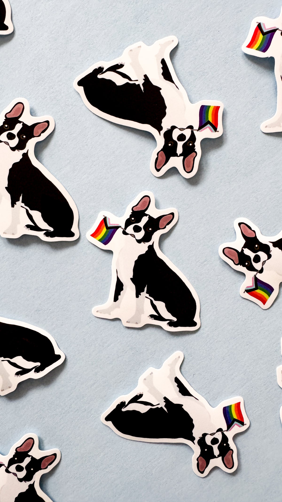 Boston Terrier Dog Pride Sticker
