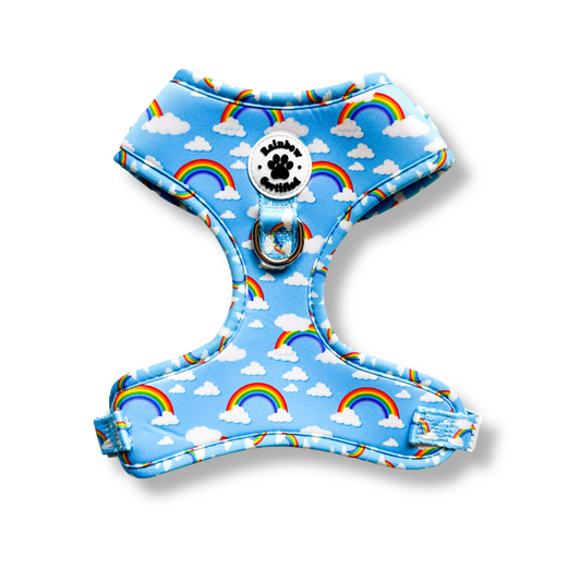 Pastel Blue Rainbow Dog Harness