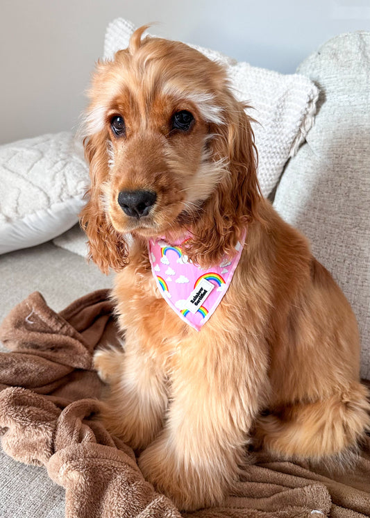 Pastel Pink Rainbow Dog Bandana