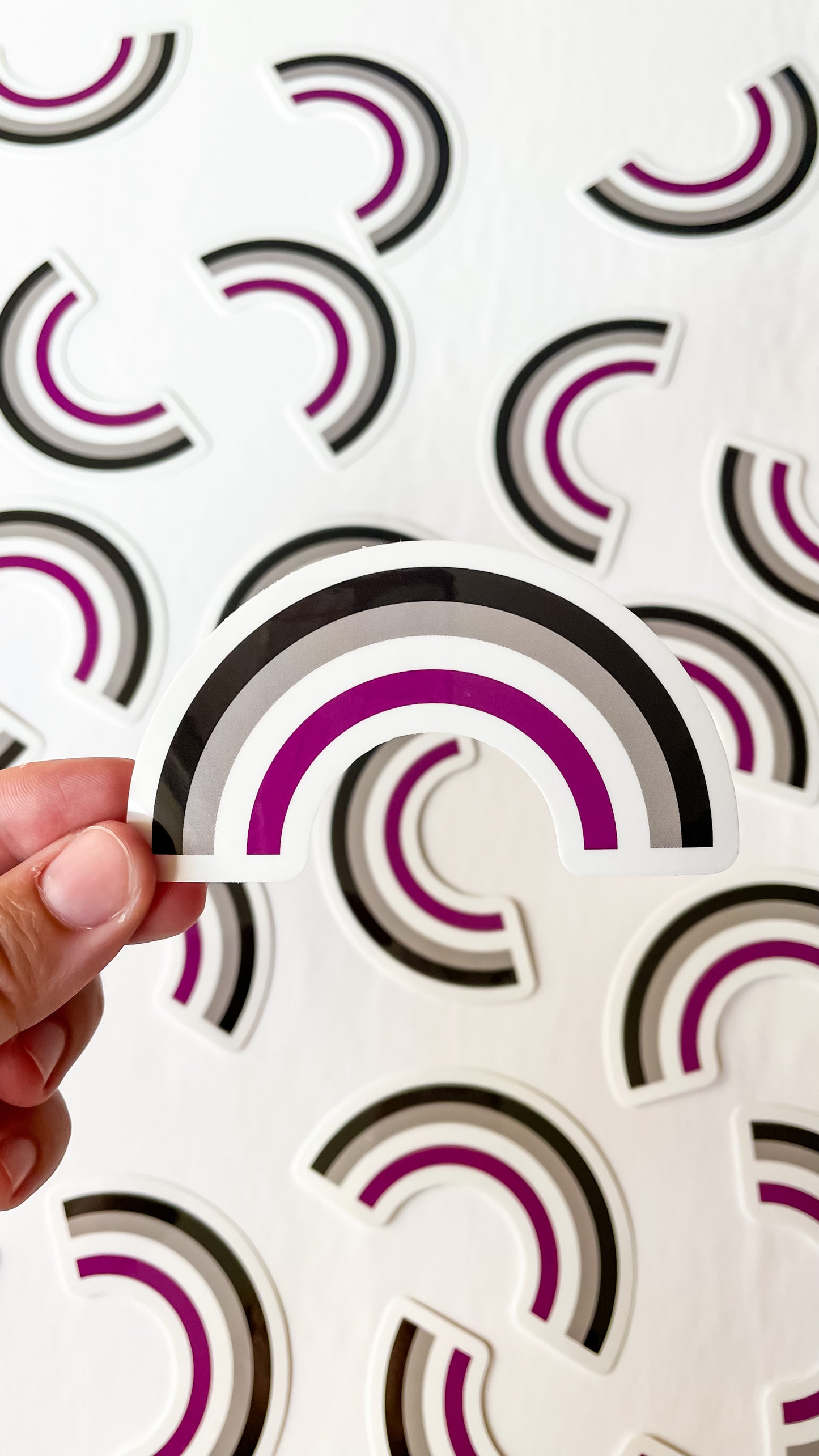 Asexual Pride flag in a rainbow sticker