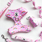 Pastel Pink Rainbow Dog Accessories Bundle