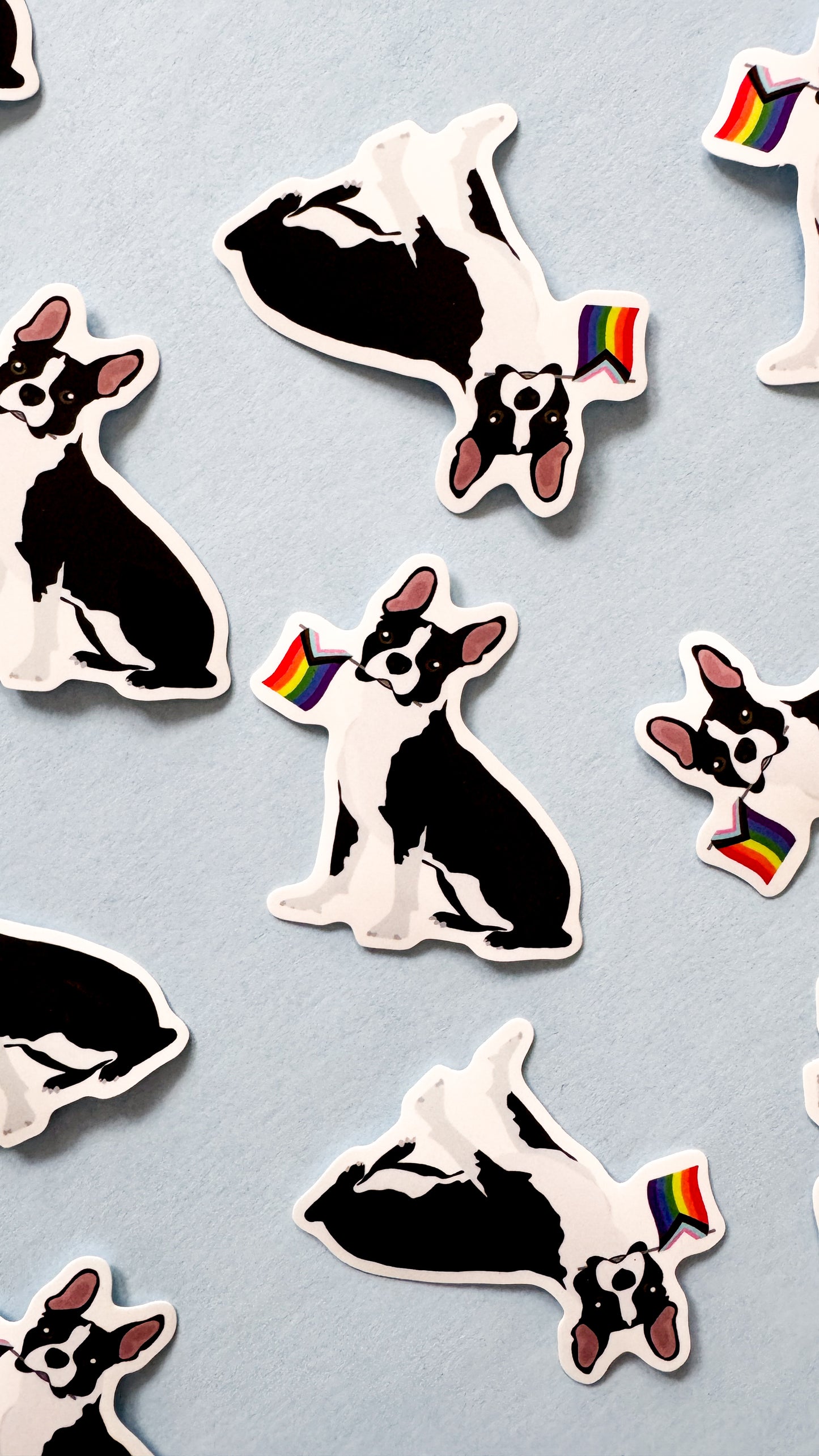 Boston Terrier Dog Pride Sticker