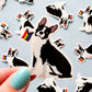 Boston Terrier Dog Pride Sticker