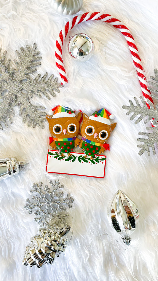 Owl Couple LGBTQ+ Christmas Ornament